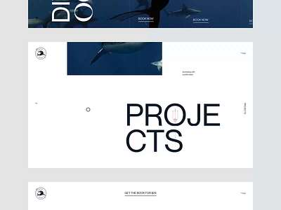 Ocean Ramsey animation editorial interaction interface minimalistic ocean ramsey typography ui webdesign