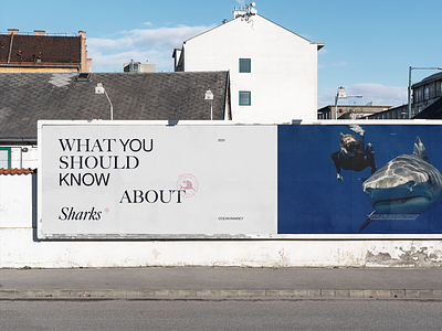 Ocean Ramsey Advertising advertising billboard interface minimalistic mockup poster typography webdesign