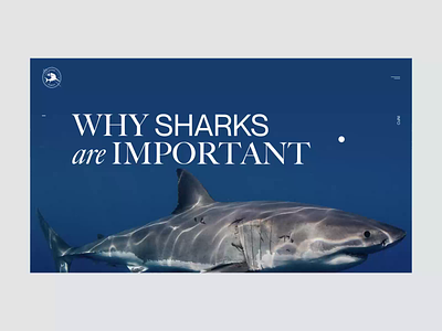 Ocean Ramsey animation design interaction interface minimalistic motion ocean ramsey sharks typography ui webdesign
