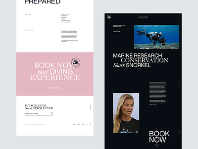 Ocean Ramsey editorial interaction interface minimalistic typography ui webdesign
