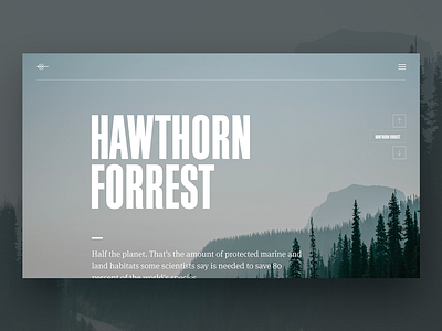 Typo Exploration // Day 34 daily interaction interface landing minimalistic site sports ui user ux web webdesign