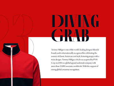 Diving Grab // Day 56 daily interaction interface landing minimalistic site typography ui user ux web webdesign