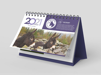 Snowdonia Donkeys calendar 2021 artworking branding charity collateral design gifts