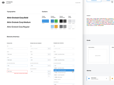 UI Styleguide buttons colors dropdowns fonts forms project source startup styleguides ui
