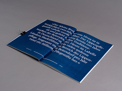Wertschätzung – Beiersdorf Case Study – 3 design editorial finance graphic infographic layout print reporting typography