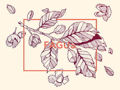 Fagus art design drawing fineliner graphic illustration ink leaf nature sketch sketchbook tree