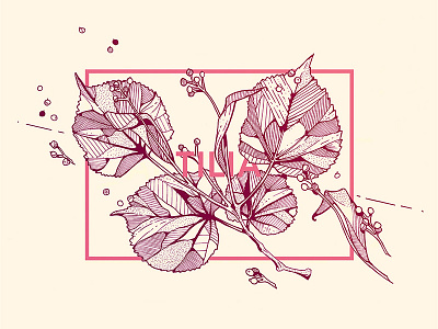 Tilia art design drawing fineliner graphic illustration ink leaf nature sketch sketchbook tree