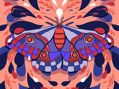 Moth Symmetry