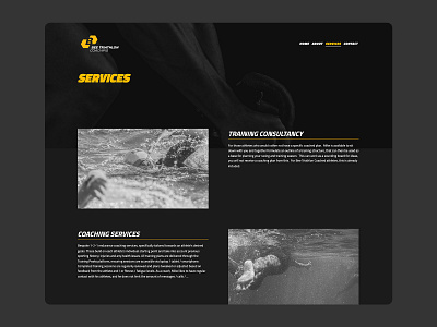 Bee Coaching Services Page archive design services services page ui ux web archive web design