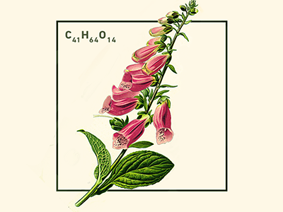 New Ways to Medicine chemicals flower illustration medicine vintage