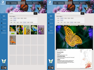 Butterfly Website design graphic design illustration logo mobile mobile design ui ux ux design web design