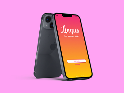 Linquo app branding design graphic design logo ui