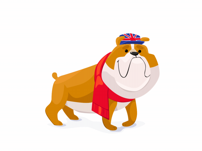 British Bulldog Idle (Lottie) 2d after effects animation british bulldog character design dog drool english flat html idle idle animation illustration json lottie lottie animation