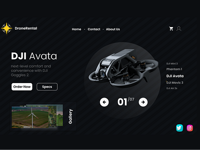 UI Drone Rental (Web design)