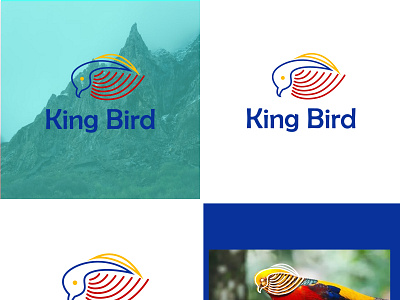king bird logo 3d animation branding graphic design logo motion graphics ui
