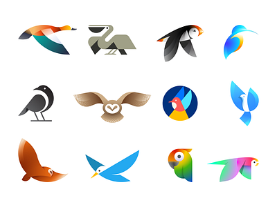Beautiful Birds animal bird crow dove duck flat gradient illustration kingfisher logo mark owl parrot pelican puffin shelduck symbol