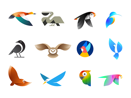 Beautiful Birds by SPG MARKS ️ on Dribbble