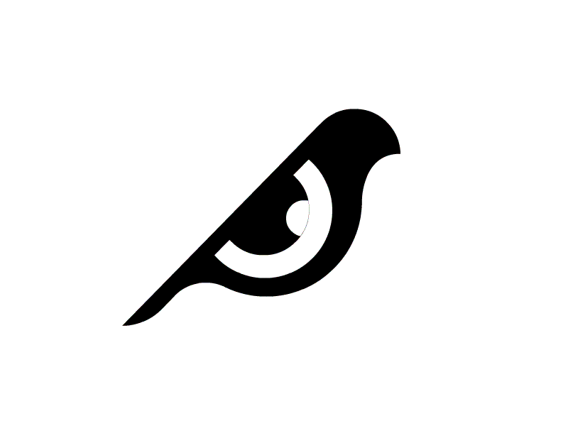 Bird Eye animation animal animation bird eye gif icon identity logo logomark minimal symbol