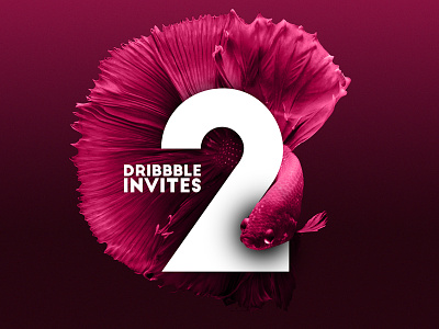 Dribbble Invites dribbble dribbble invites icon illustration invitation invite logo symbol