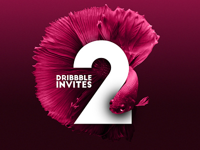 Dribbble Invites