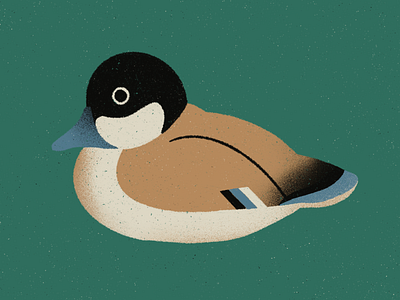 Ducky duck illustration ipad nature procreate texture woodland