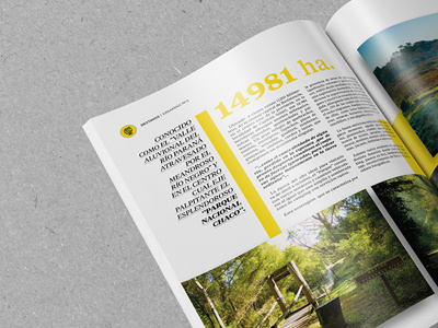 Magazine Ersa® diseño editorial magazine revista