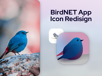 Daily UI #005: App Icon // BirdNet icon redesign app dailyui dailyuichallenge design figma graphic design icon illustration logo redesign ui