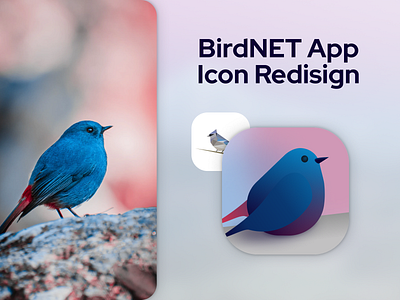 Daily UI #005: App Icon // BirdNet icon redesign