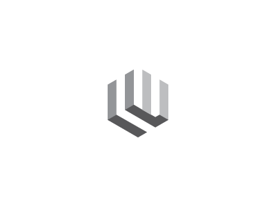 LW Monogram box branding hexagon initial letterform lettermark logo lw monogram personal