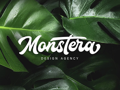 Monstera Custom Lettering Logo brand branding brush calligraphy custom lettering logo monstera