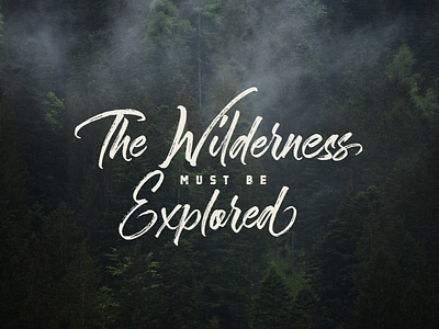 The Wilderness Hand Brush Calligraphy brush calligraphy design lettering marker poster quote wild wilderness