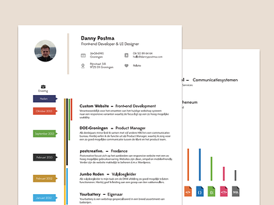 Resume clean color cv experience icons print resume skills