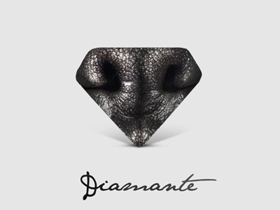Diamond Dog | Mark & Logotype