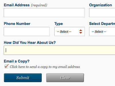 Simple CSS3 Form