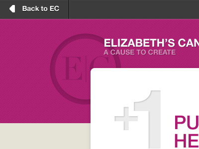 EC +1 Campaign Site web design