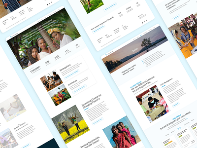 💰 Impact Investment Website and Dashboard