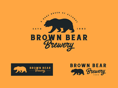 Brown Bear Brewery Concept animal badge bear beer brewery design illustration illustrator logo symbol vintage