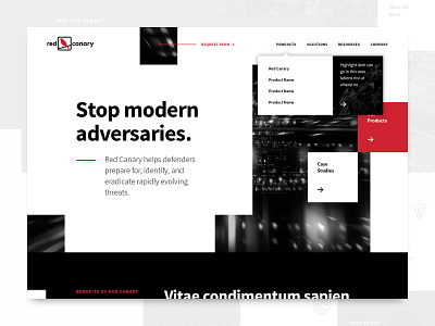 Red Canary website, UI design black black white bold boxy layered red red canary ui web design website