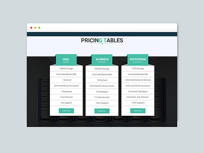 Pricing Table design focus plane price pricing shuttle table typography ui ux web website