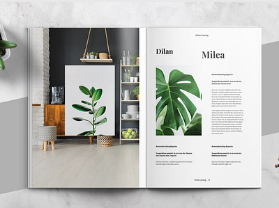 Catalogue Design branding