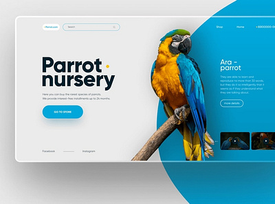 Parrot branding design illustration labels logo ui ux vector