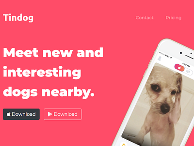TinDog android app branding design ios mobile typography web design web development webdev