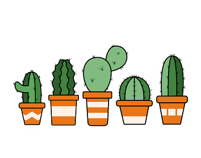 Cactus Family design graphic design illustration vector