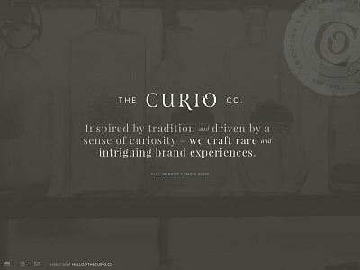 Curio Co Splash branding logo uiux web
