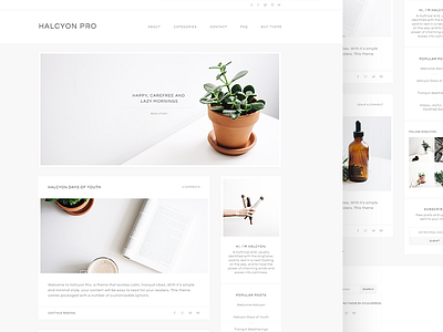 Halcyon Theme blog minimal photography theme ui ux web