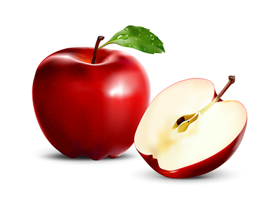 Red Apple (Vector) by Media Jamshidi - Dribbble