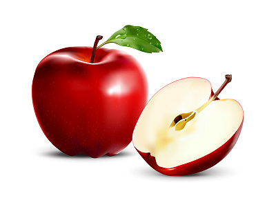 Red Apple (Vector) apple illustration vector