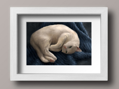 Digital Portrait of a White Cat art digital art digital painting drawing hand drawn illustration