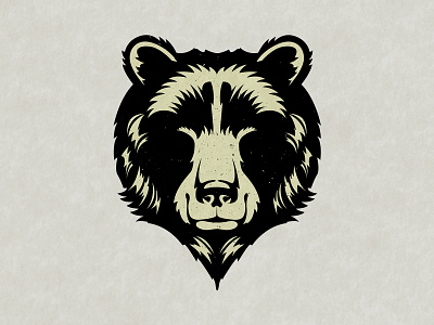 Ursa animal bear graffiti illustration minimal vector