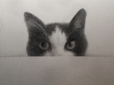 Mom Commisions animal cat drawing eyes pencil sketch